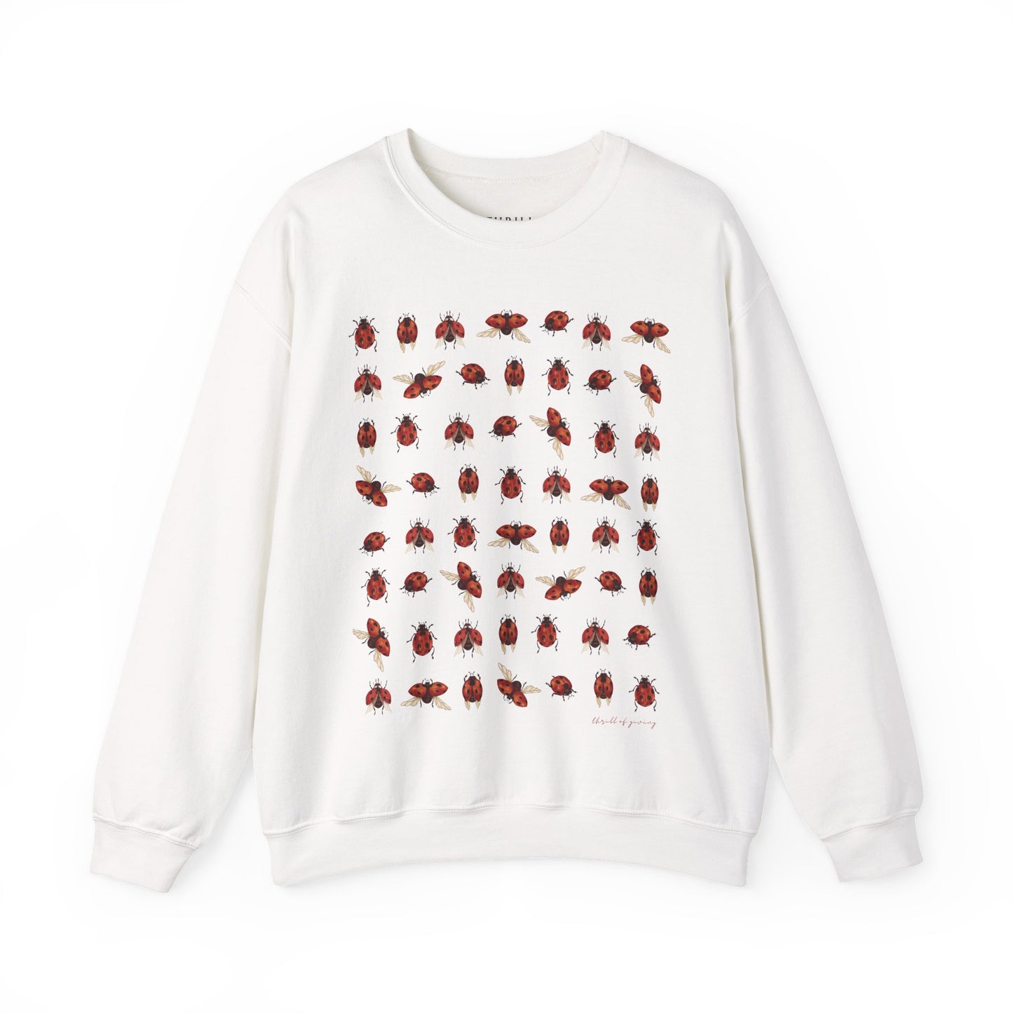 Ladybug Sweatshirt