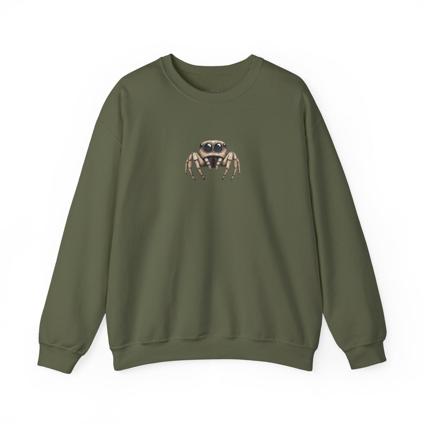 Secret Keeper Jumping Spider Sweatshirt