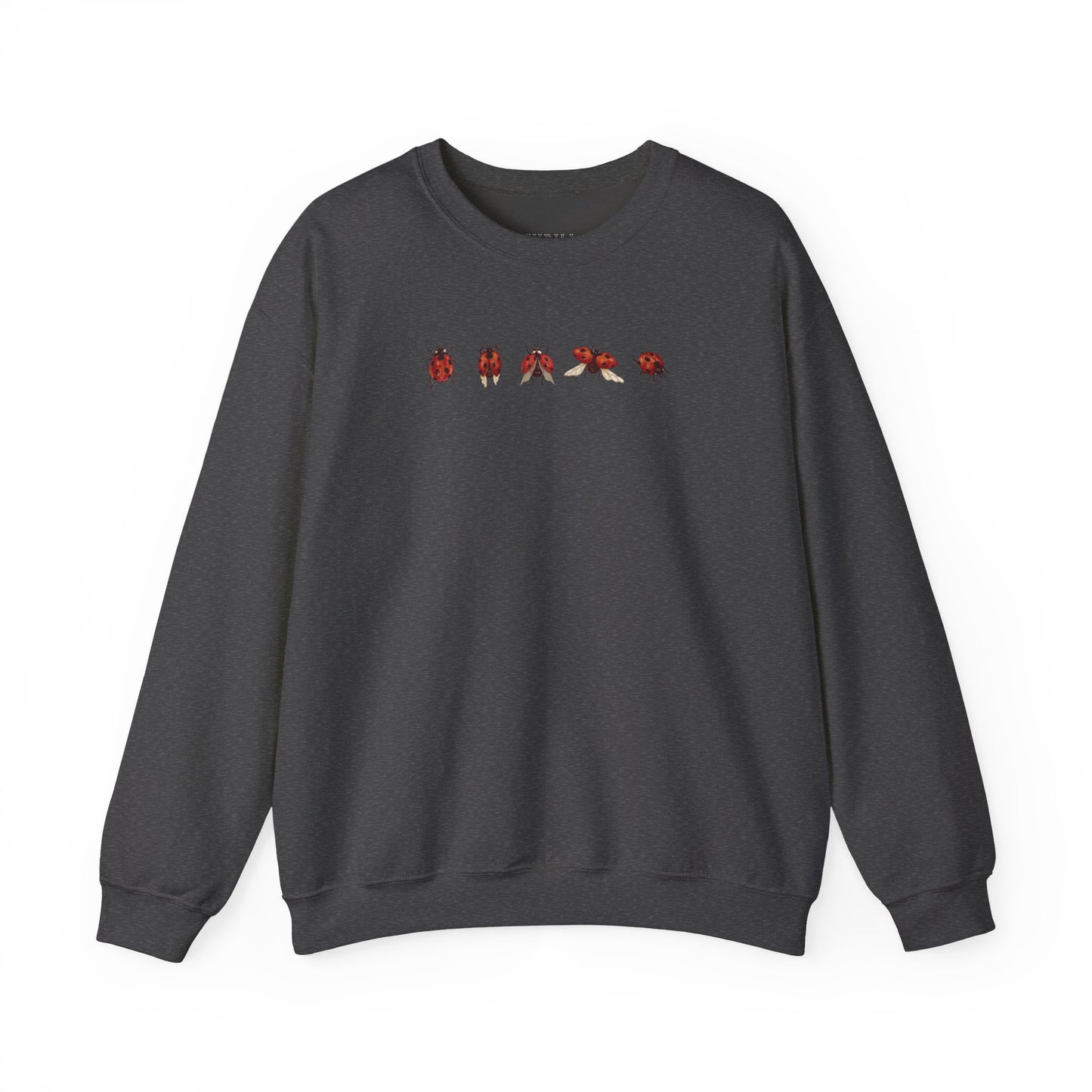 Minimal Ladybug Sweatshirt - Lucky You