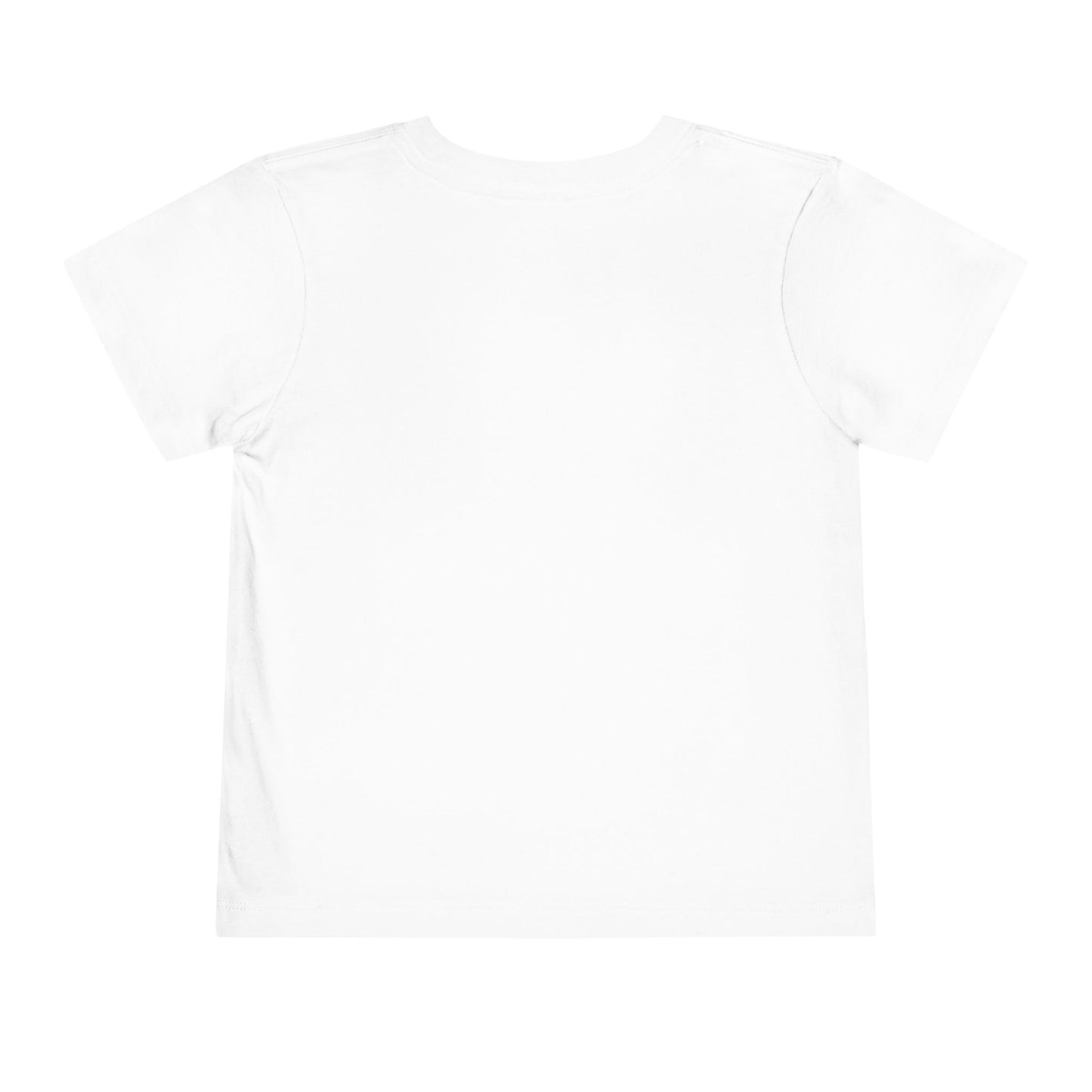 Alaska T-shirt--Toddler--GROUP #1