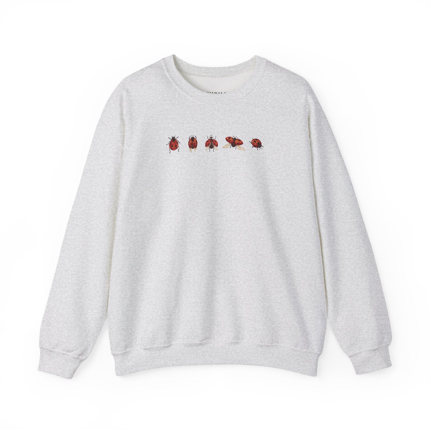 Minimal Ladybug Sweatshirt - Lucky You