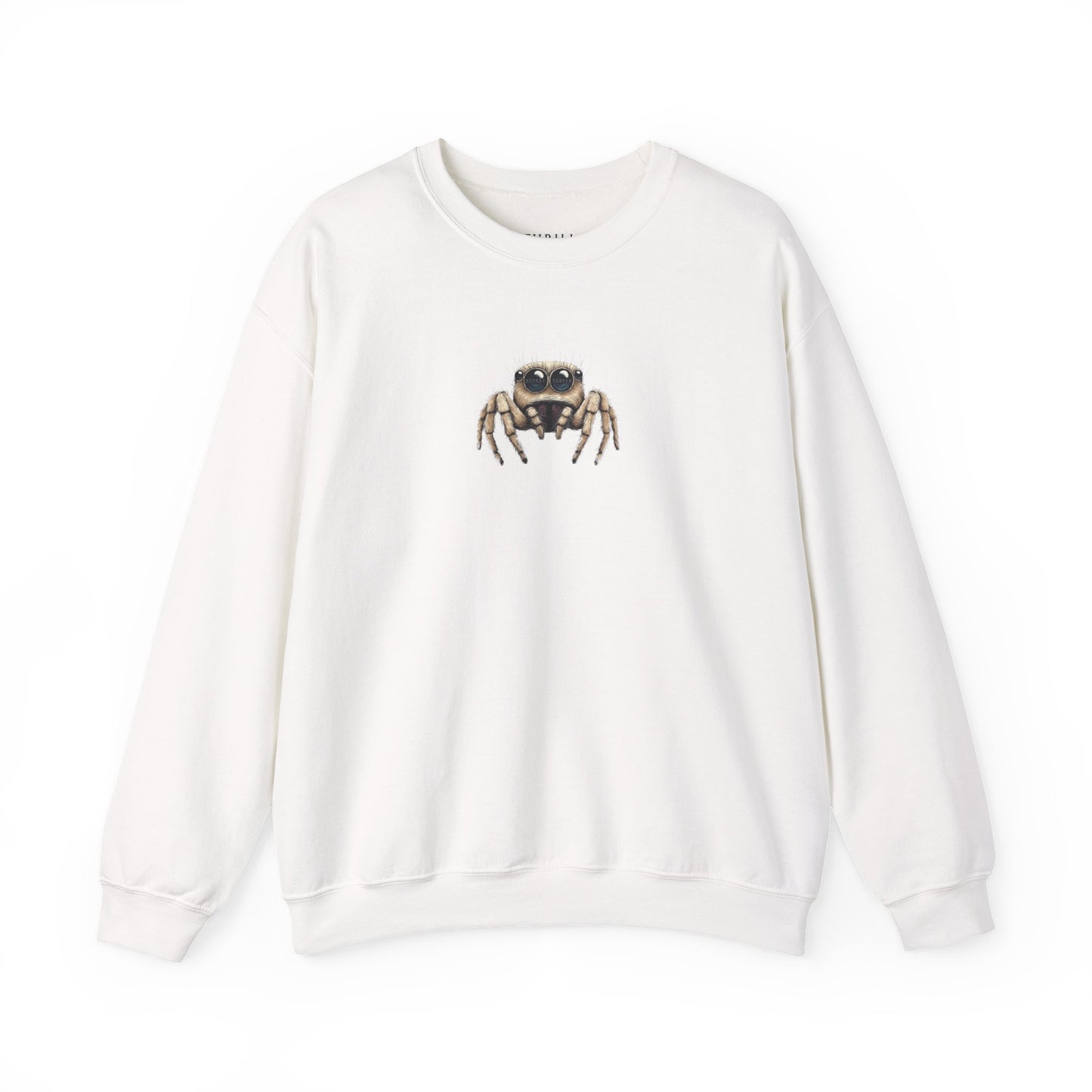 Secret Keeper Jumping Spider Sweatshirt