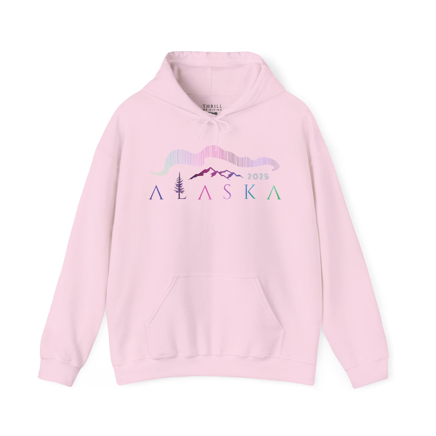 ALASKA Hoodie - Northern Lights