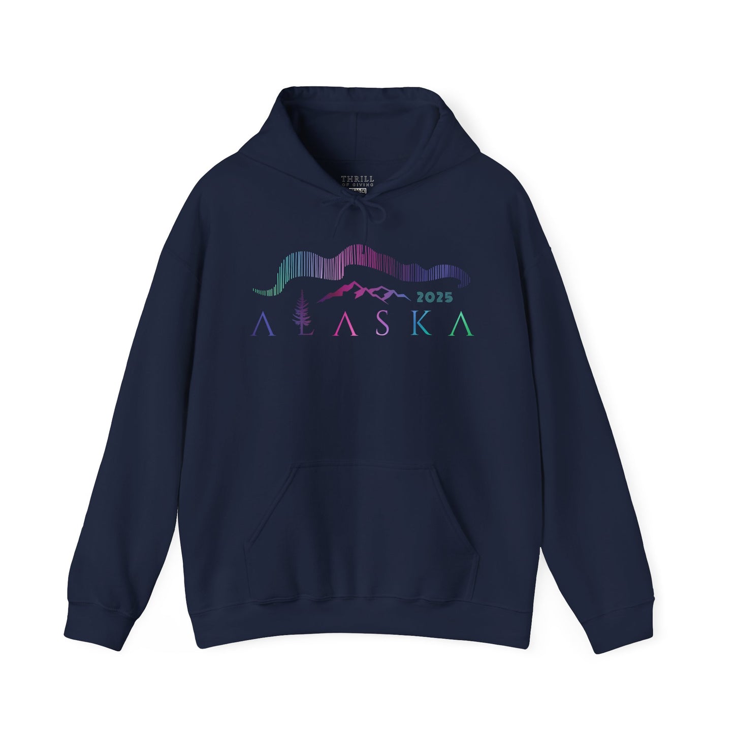ALASKA Hoodie - Northern Lights