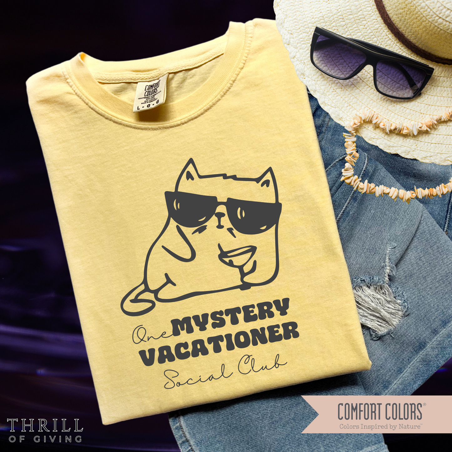 Funny Mystery Vacationer T-shirt
