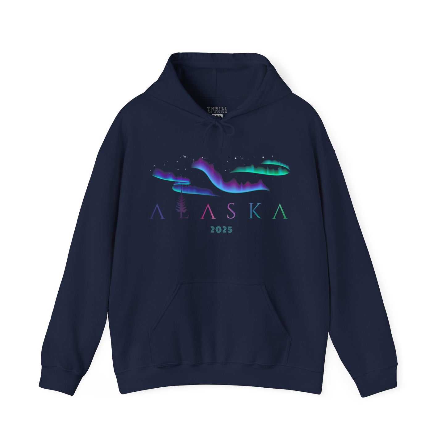 ALASKA Hoodie - Aurora Borealis Edition