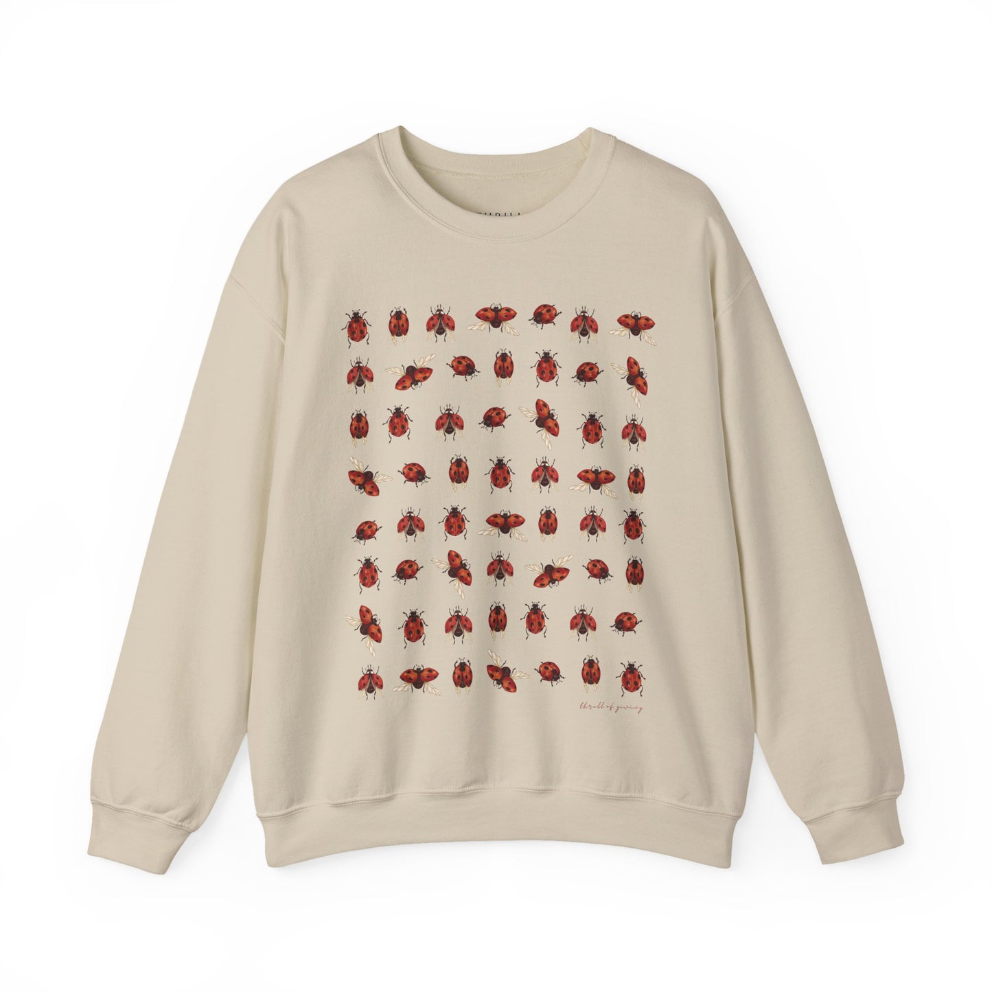 Ladybug Sweatshirt