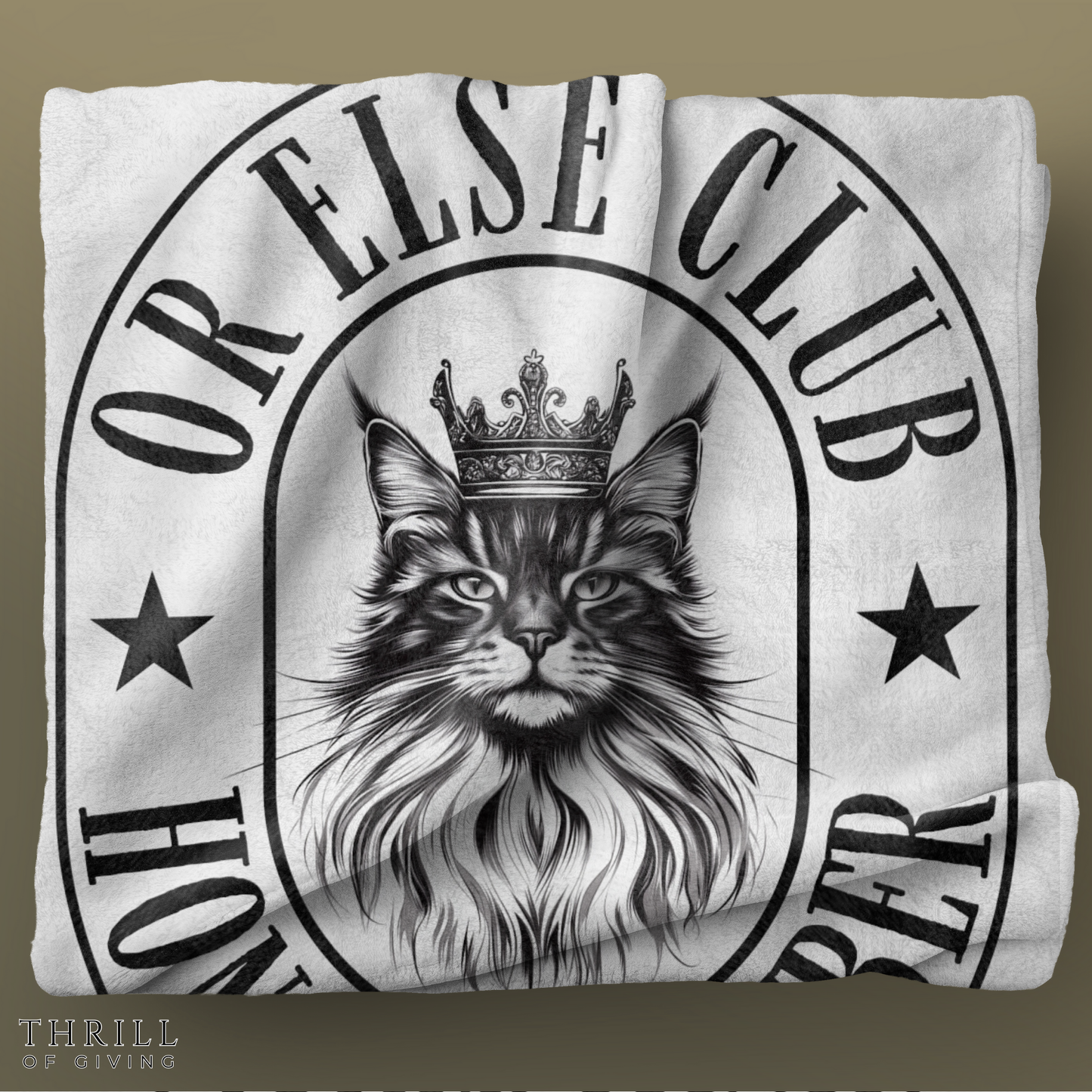 Funny Mainecoon Blanket