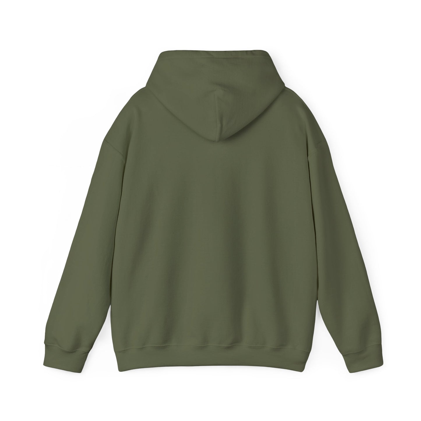 Aurora Borealis ALASKA Hoodie - Unisex Custom Hooded sweatshirt