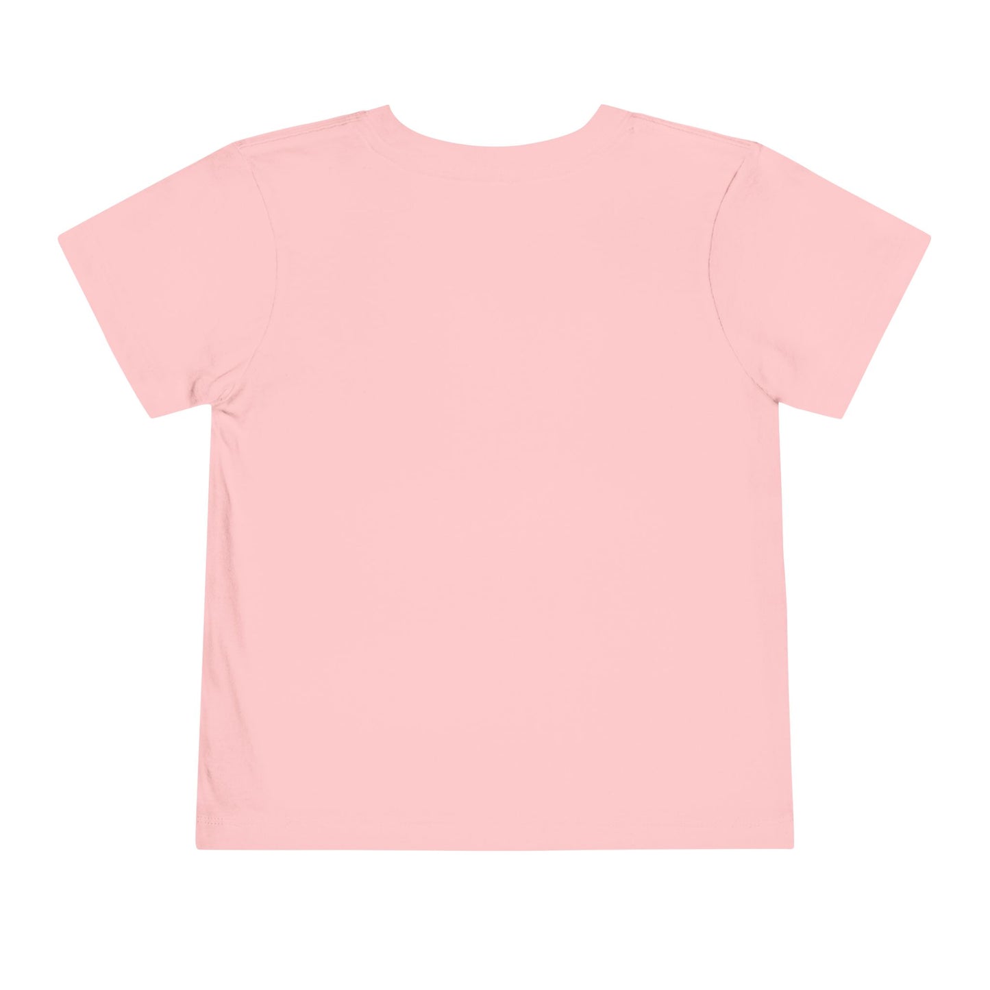 Alaska T-shirt--Toddler--GROUP #1
