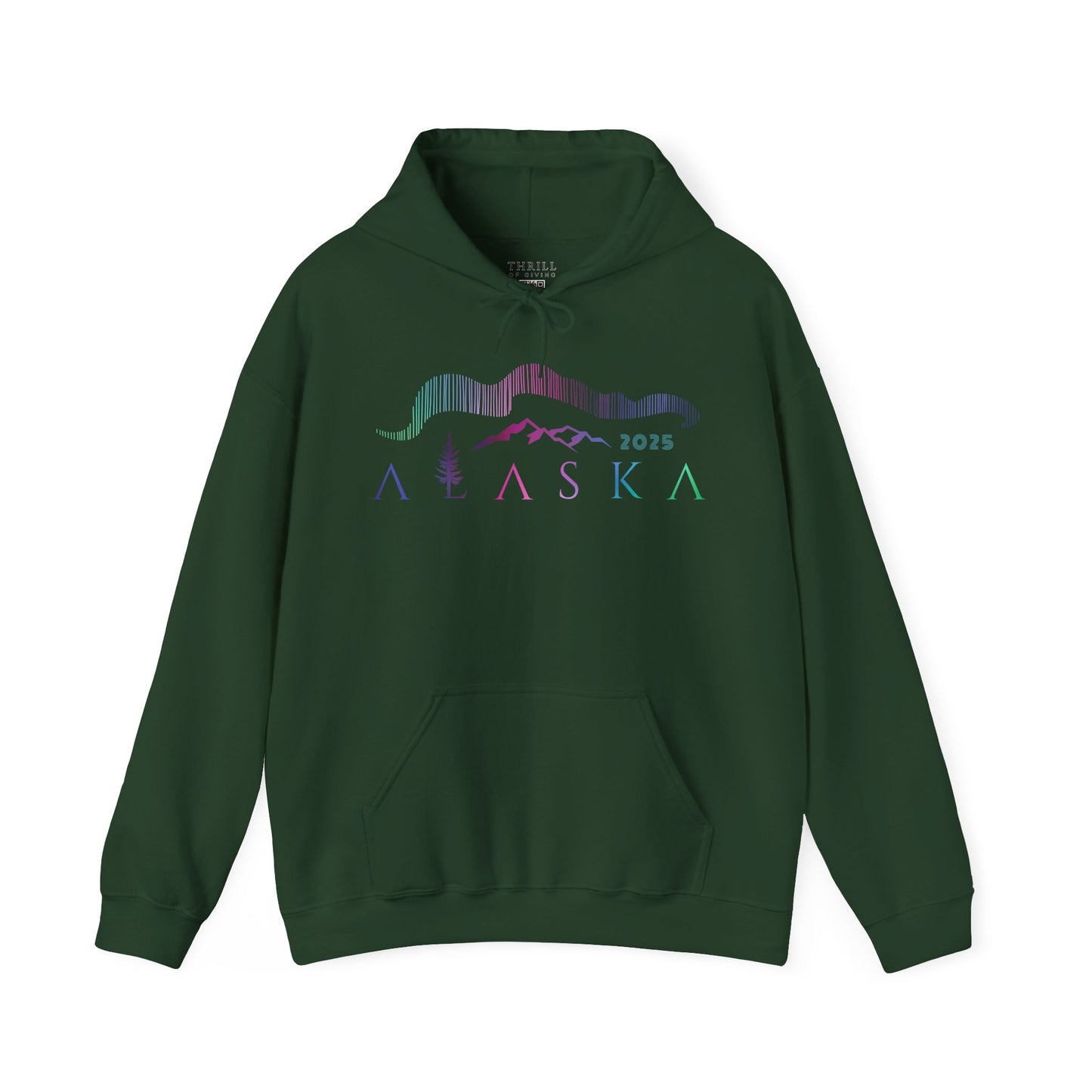 ALASKA Hoodie - Northern Lights