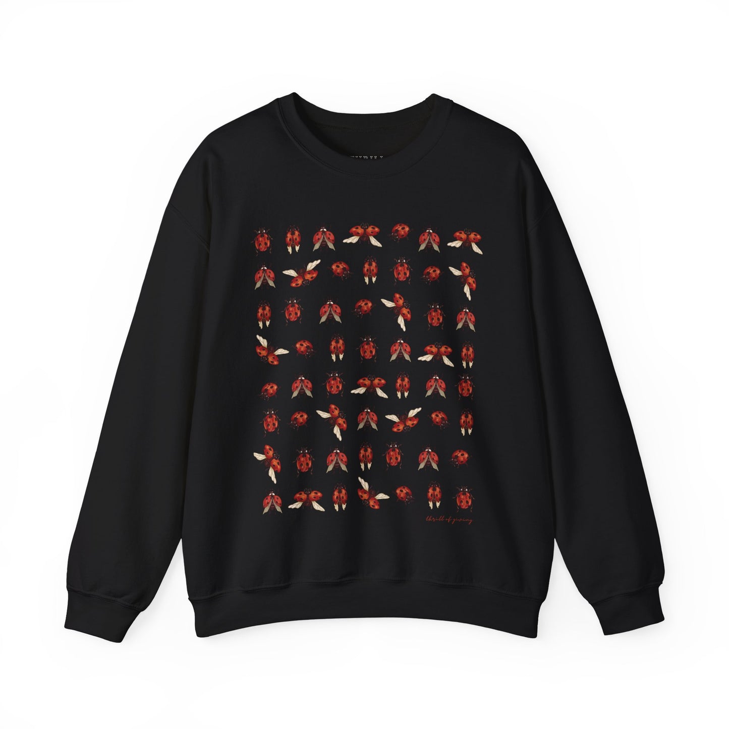 Ladybug Sweatshirt