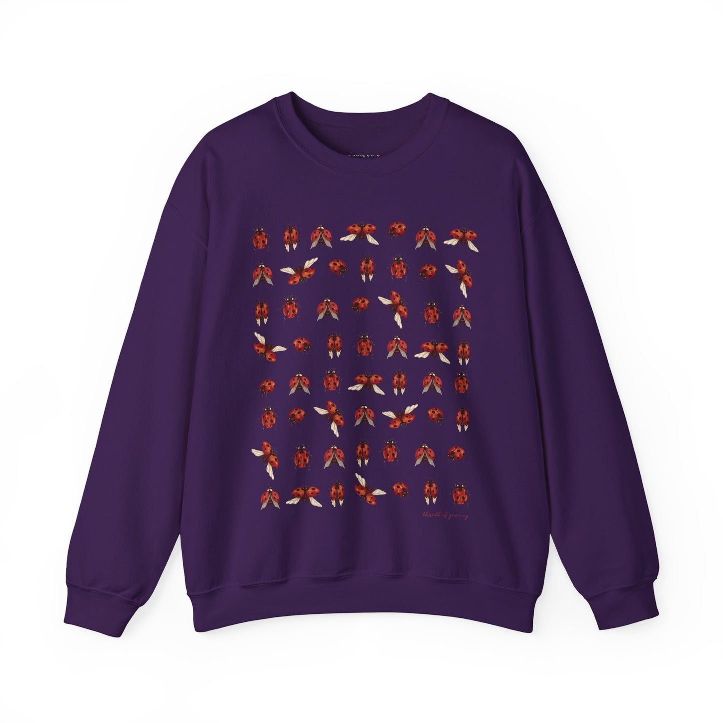 Ladybug Sweatshirt