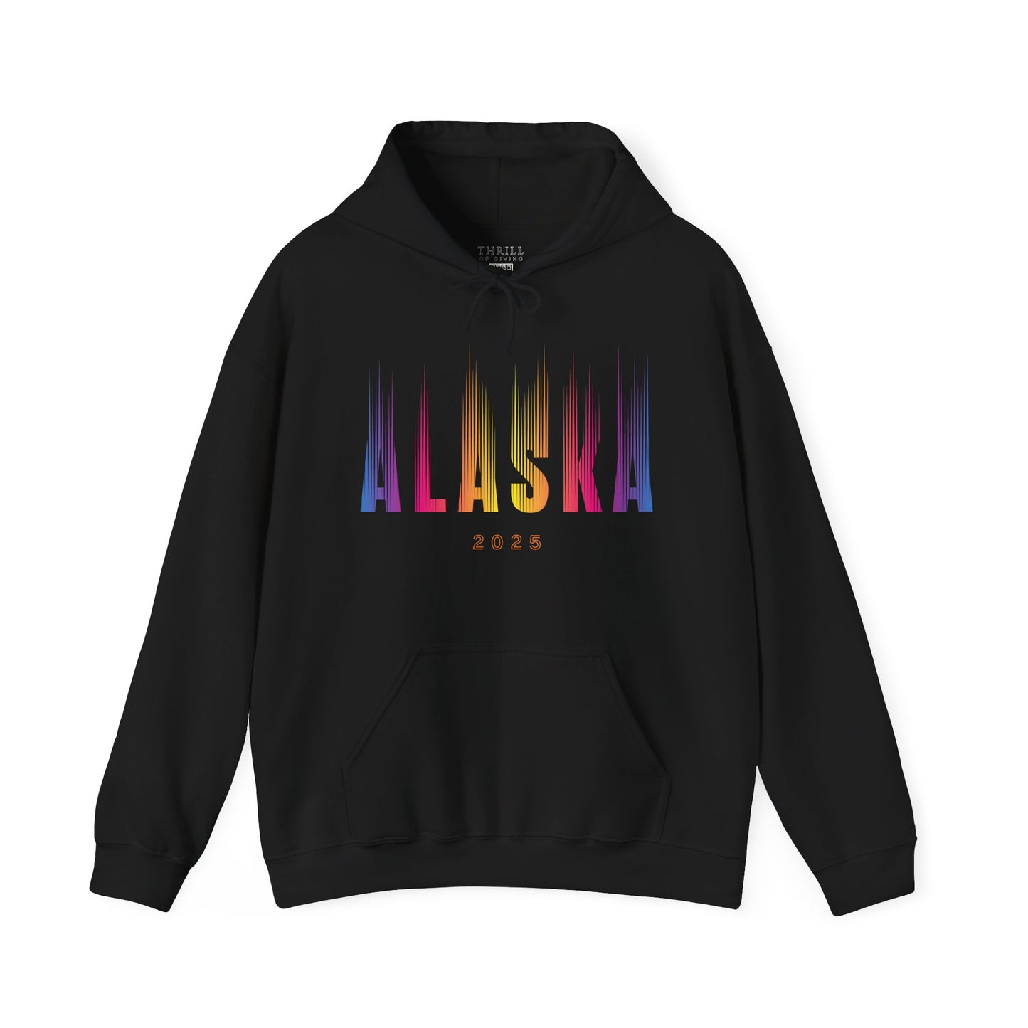 Aurora Borealis - ALASKA Hoodie