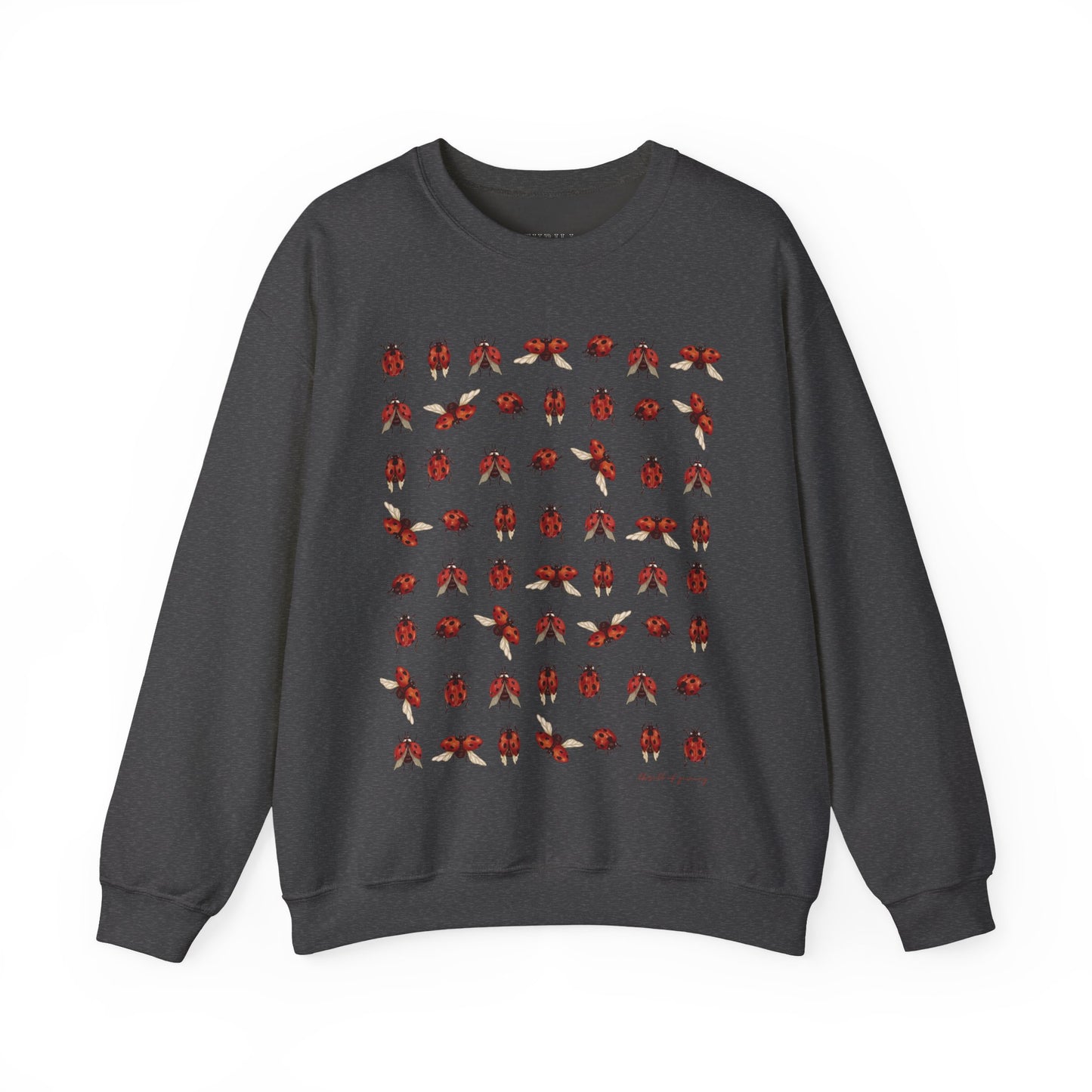 Ladybug Sweatshirt