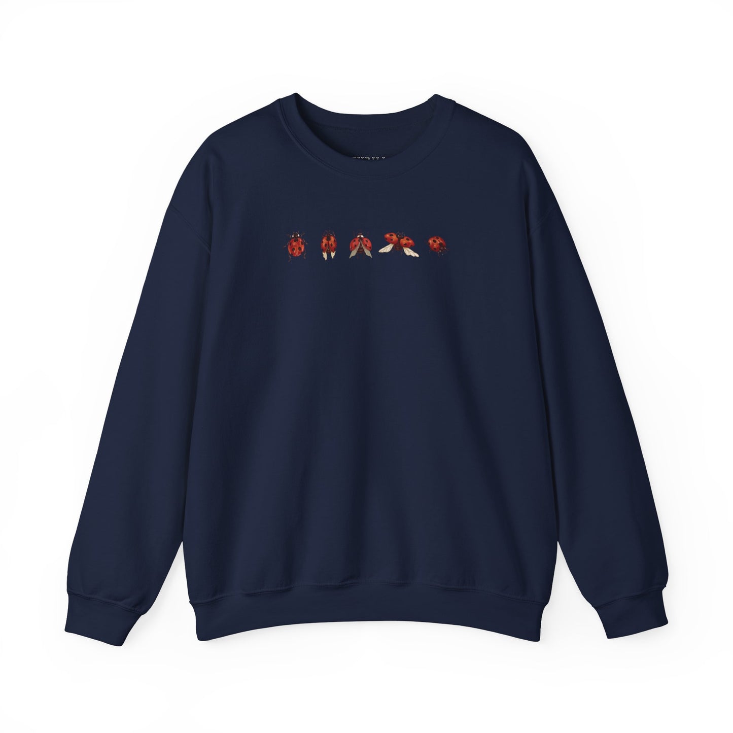 Minimal Ladybug Sweatshirt - Lucky You