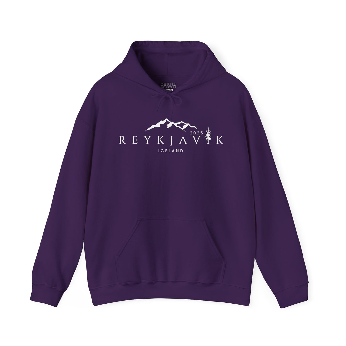 REIKJAVIK Iceland Hoodie - Custom
