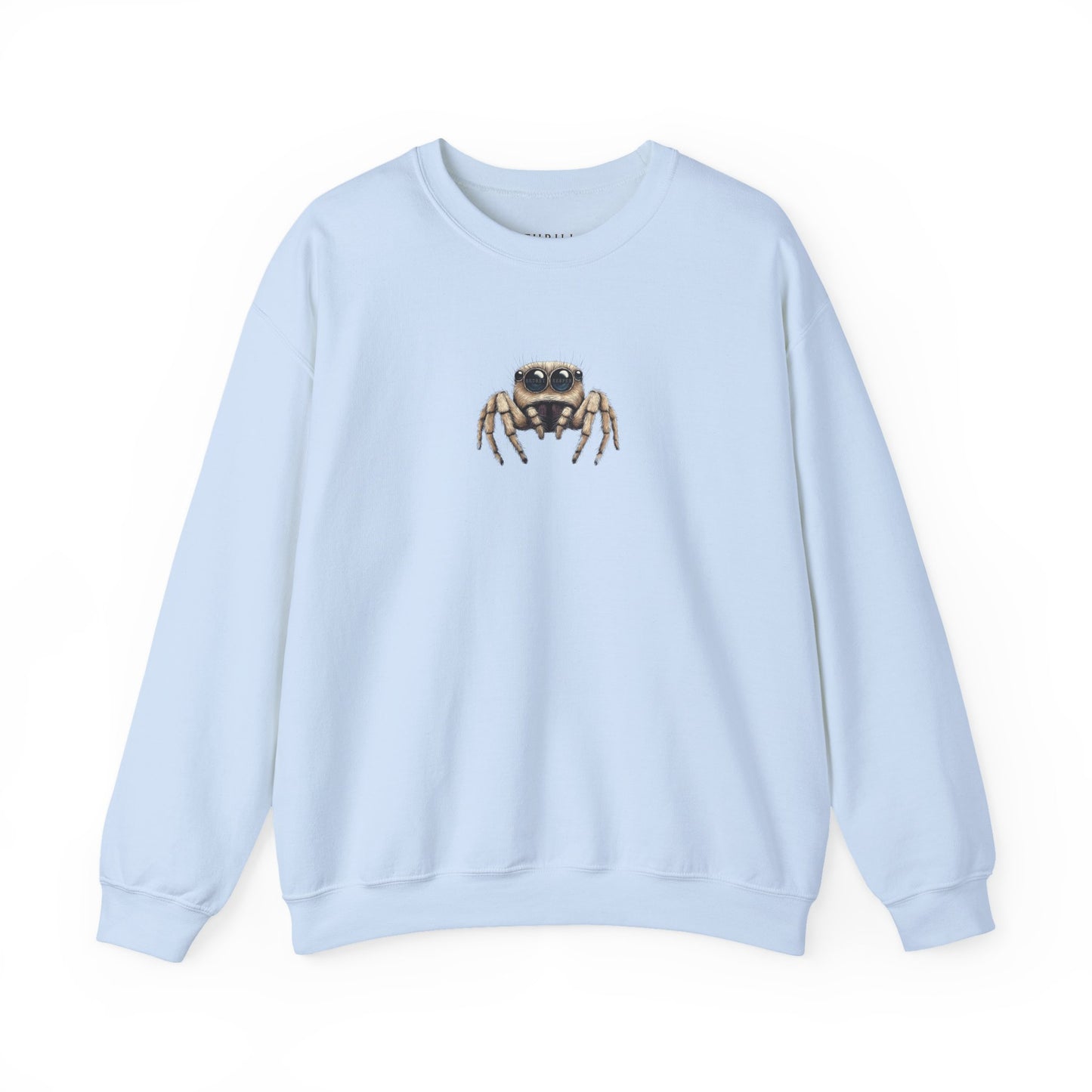 Secret Keeper Jumping Spider Sweatshirt