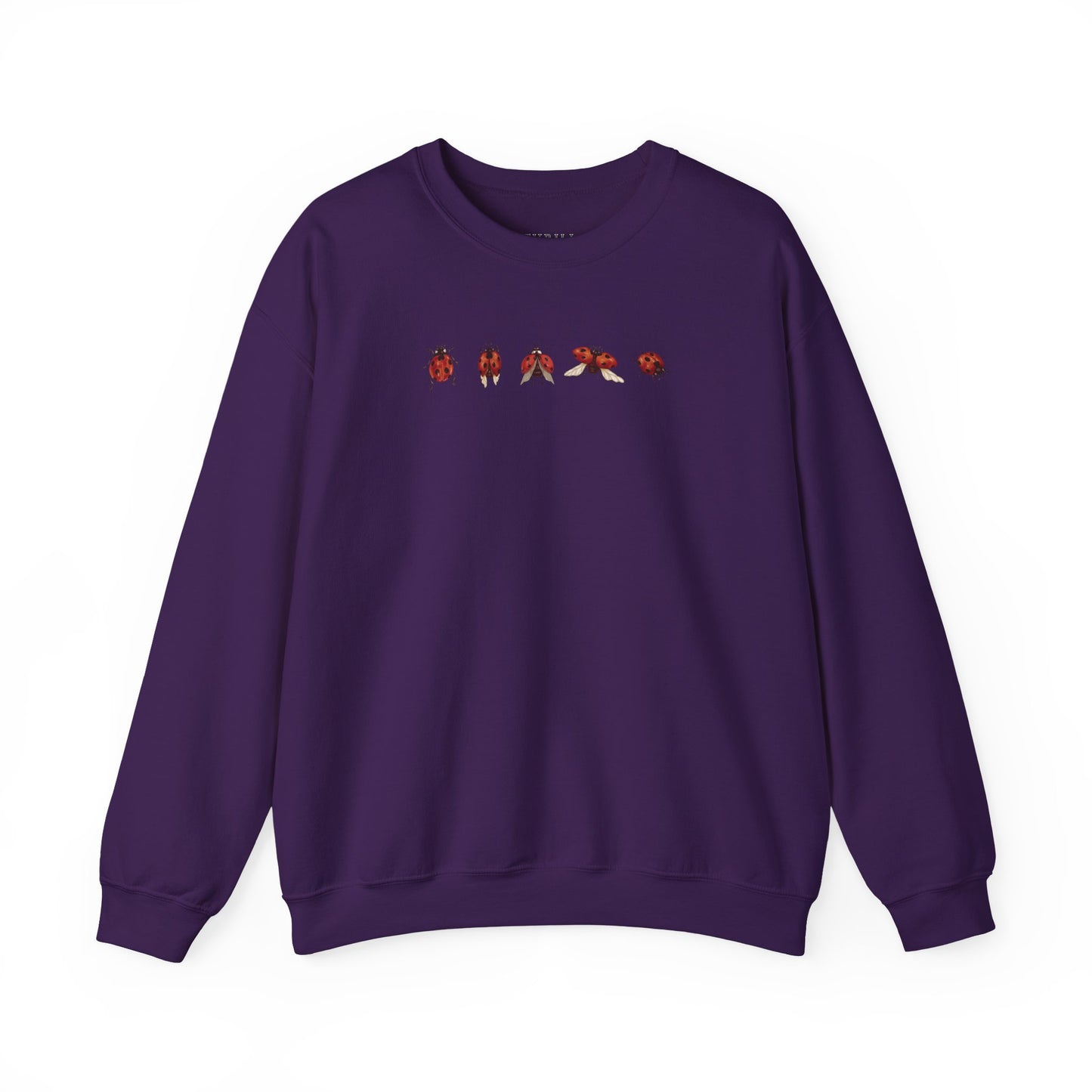 Minimal Ladybug Sweatshirt - Lucky You