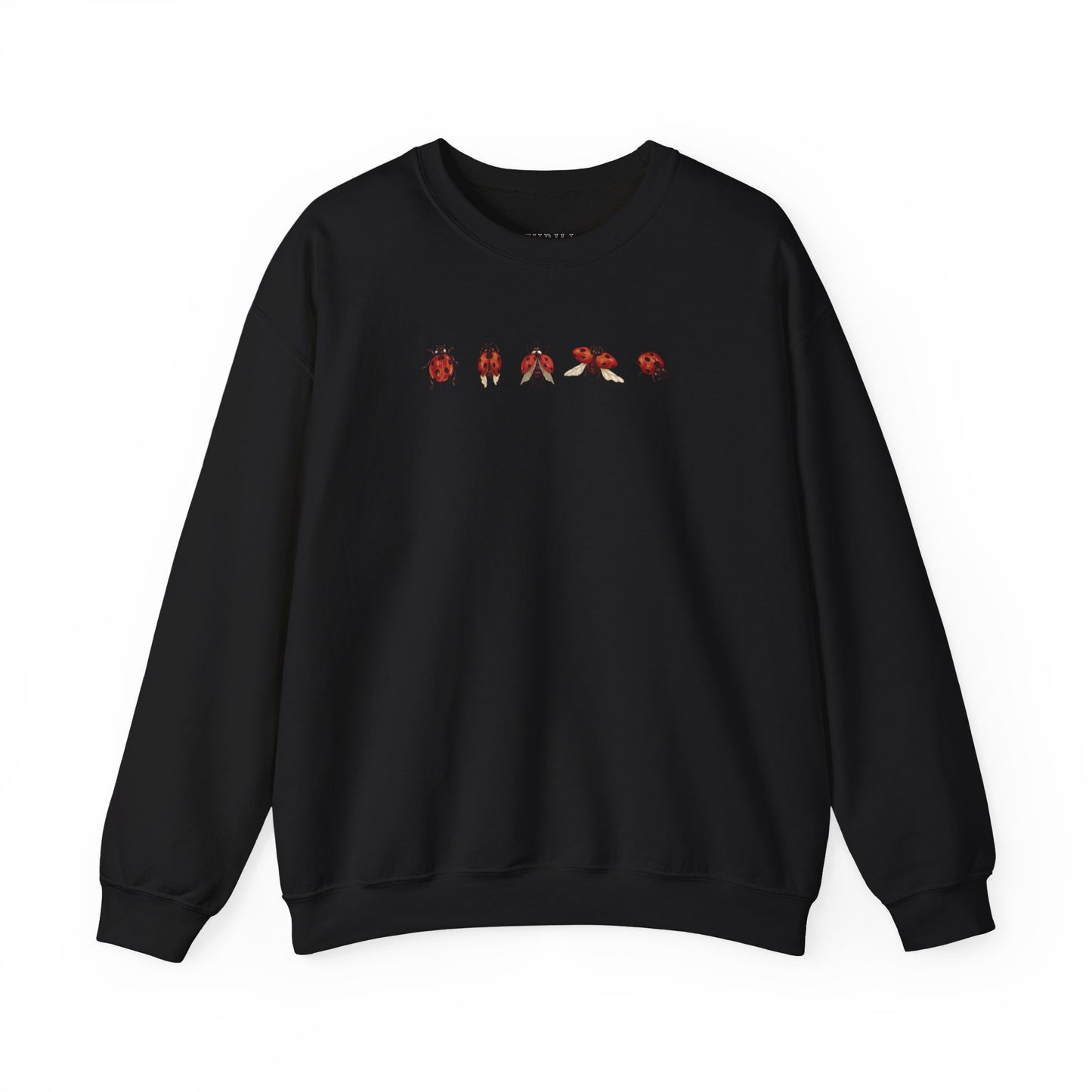 Minimal Ladybug Sweatshirt - Lucky You