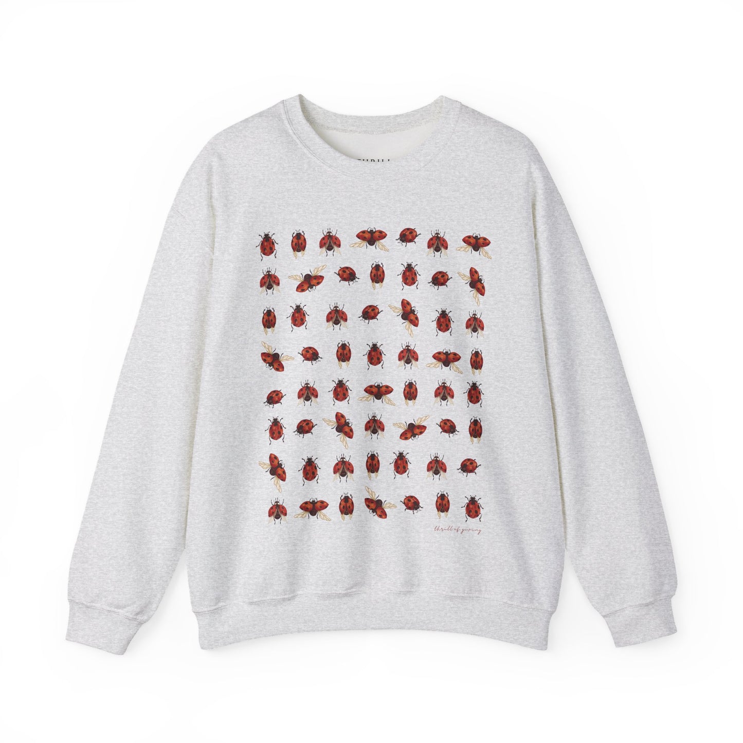 Ladybug Sweatshirt