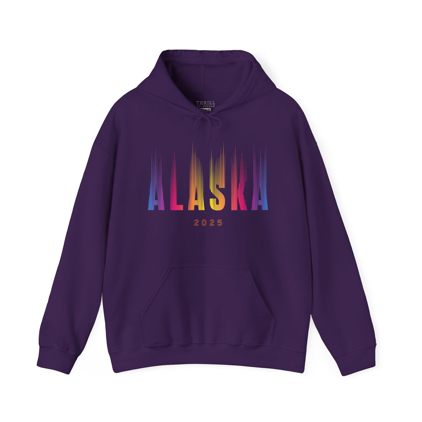 Aurora Borealis - ALASKA Hoodie