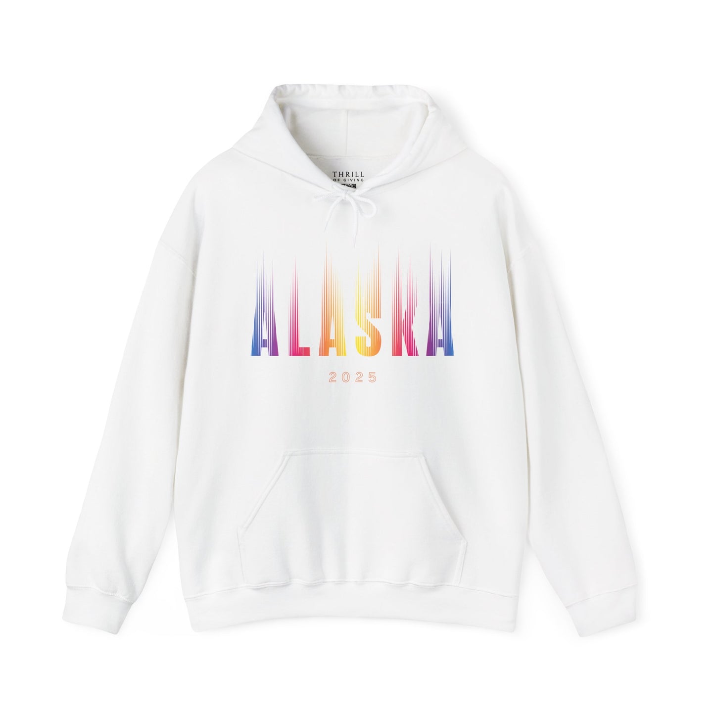 Aurora Borealis - ALASKA Hoodie