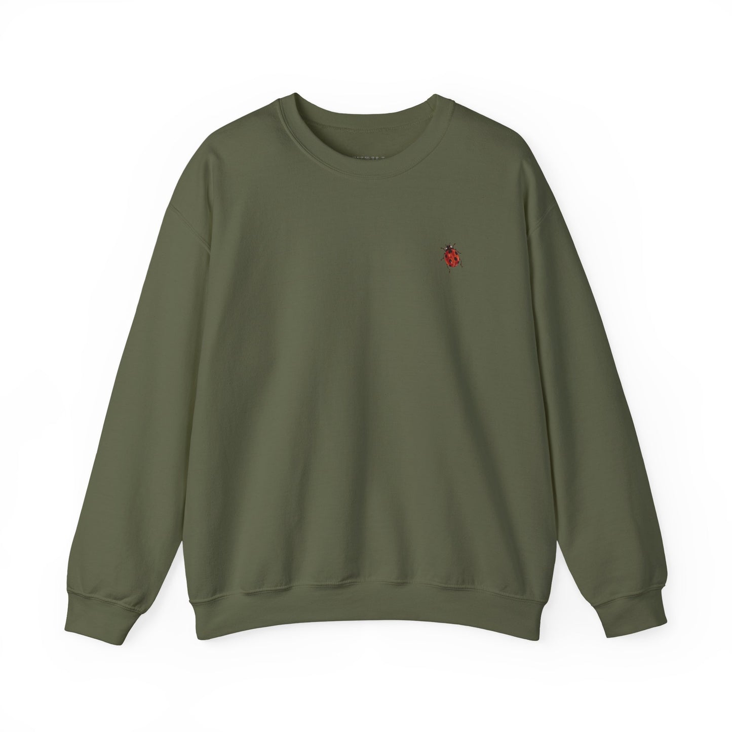 Cute Ladybug - Good Luck Sweatshirt