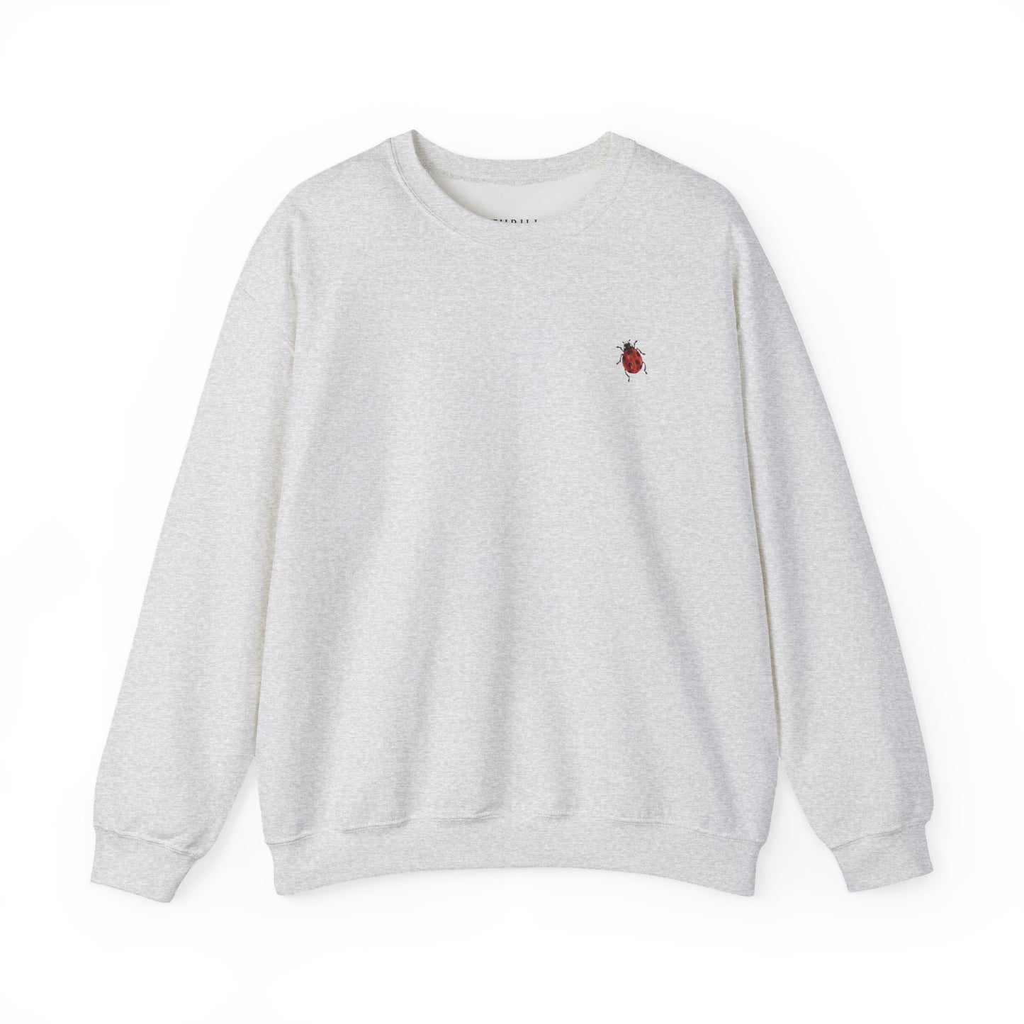 Cute Ladybug - Good Luck Sweatshirt