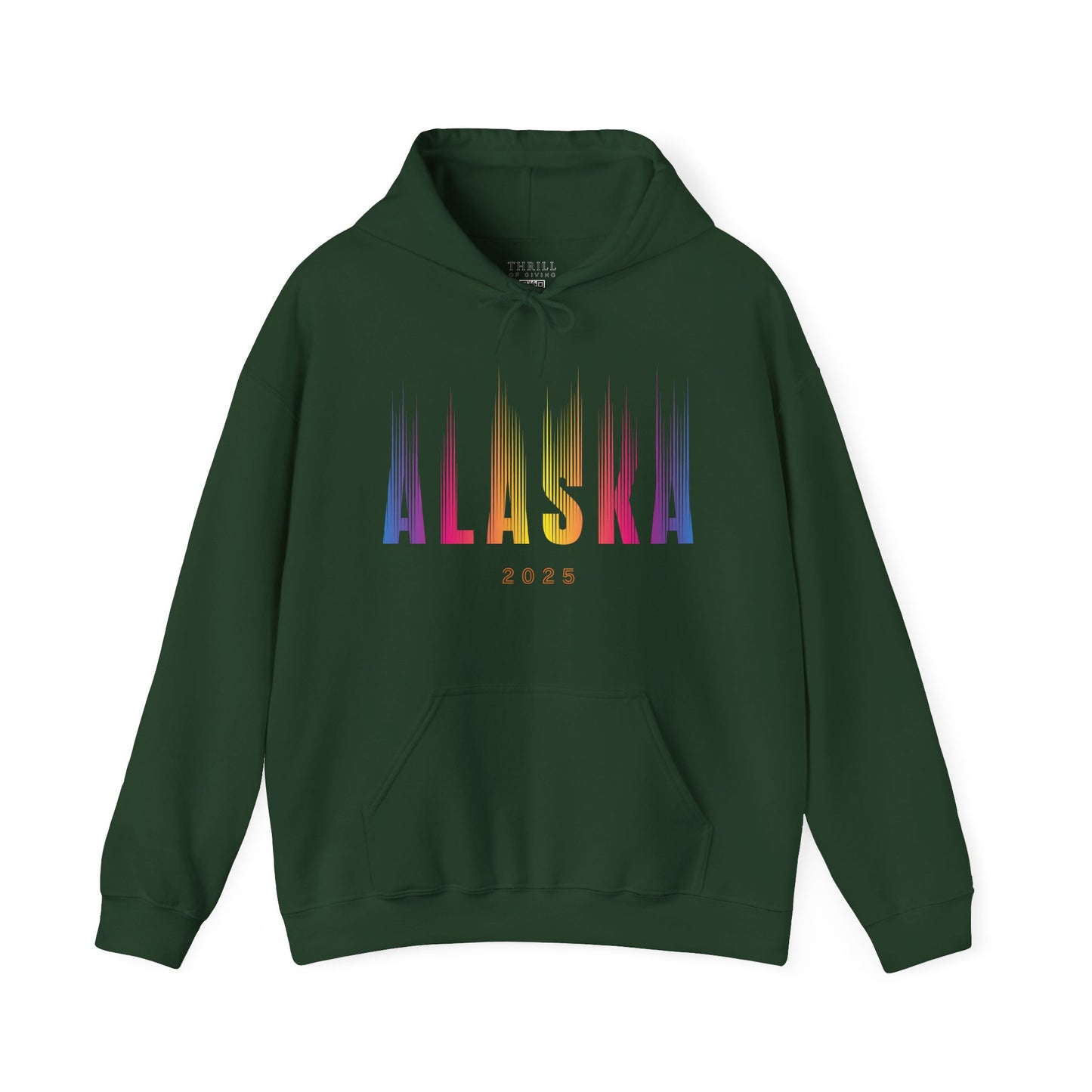 Aurora Borealis - ALASKA Hoodie