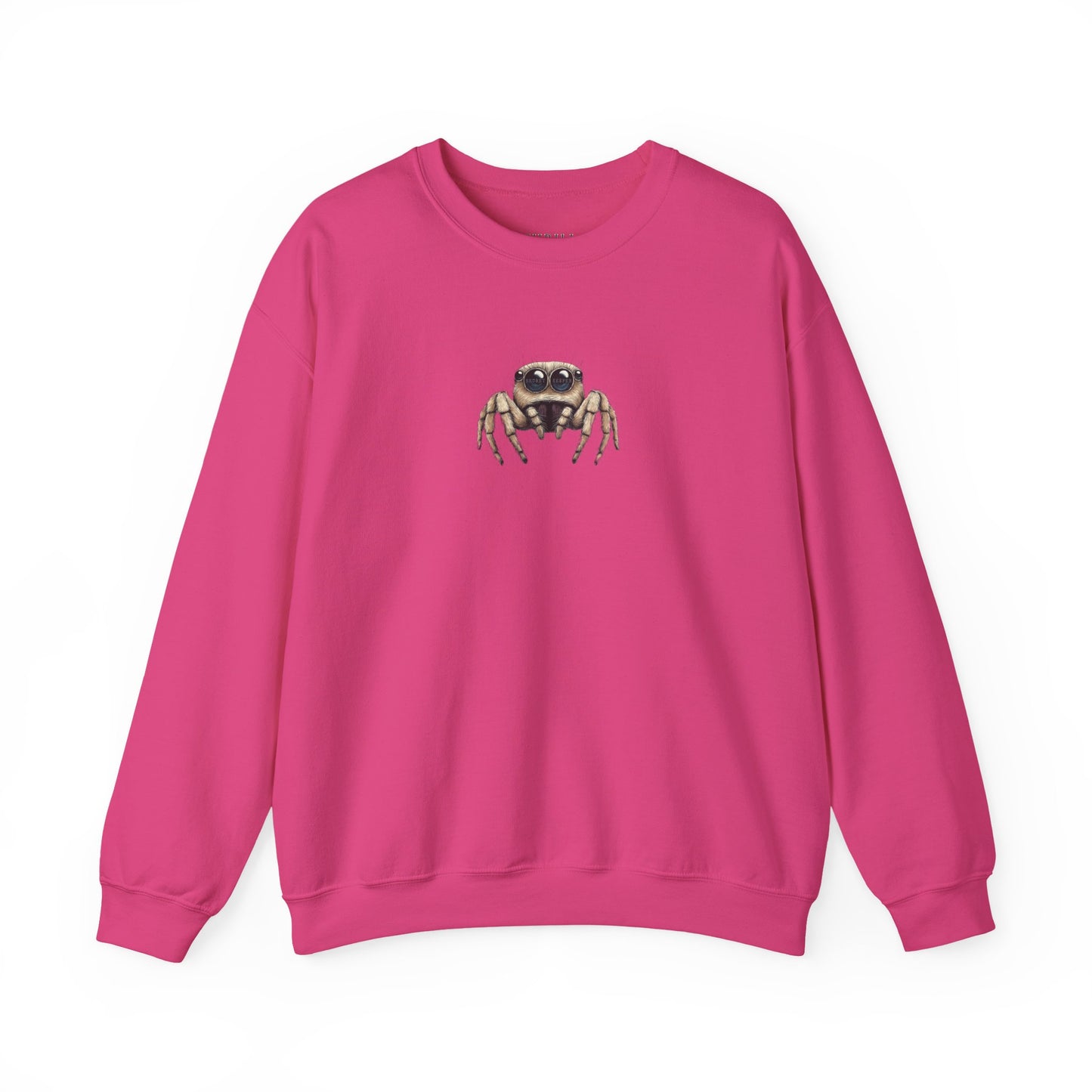 Secret Keeper Jumping Spider Sweatshirt