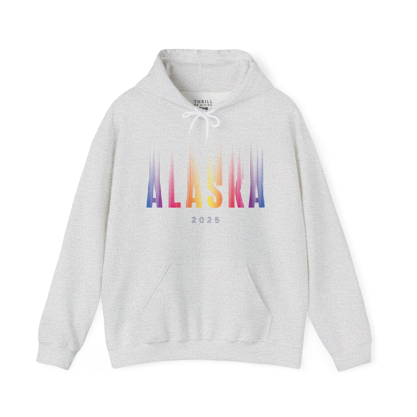 Aurora Borealis - ALASKA Hoodie