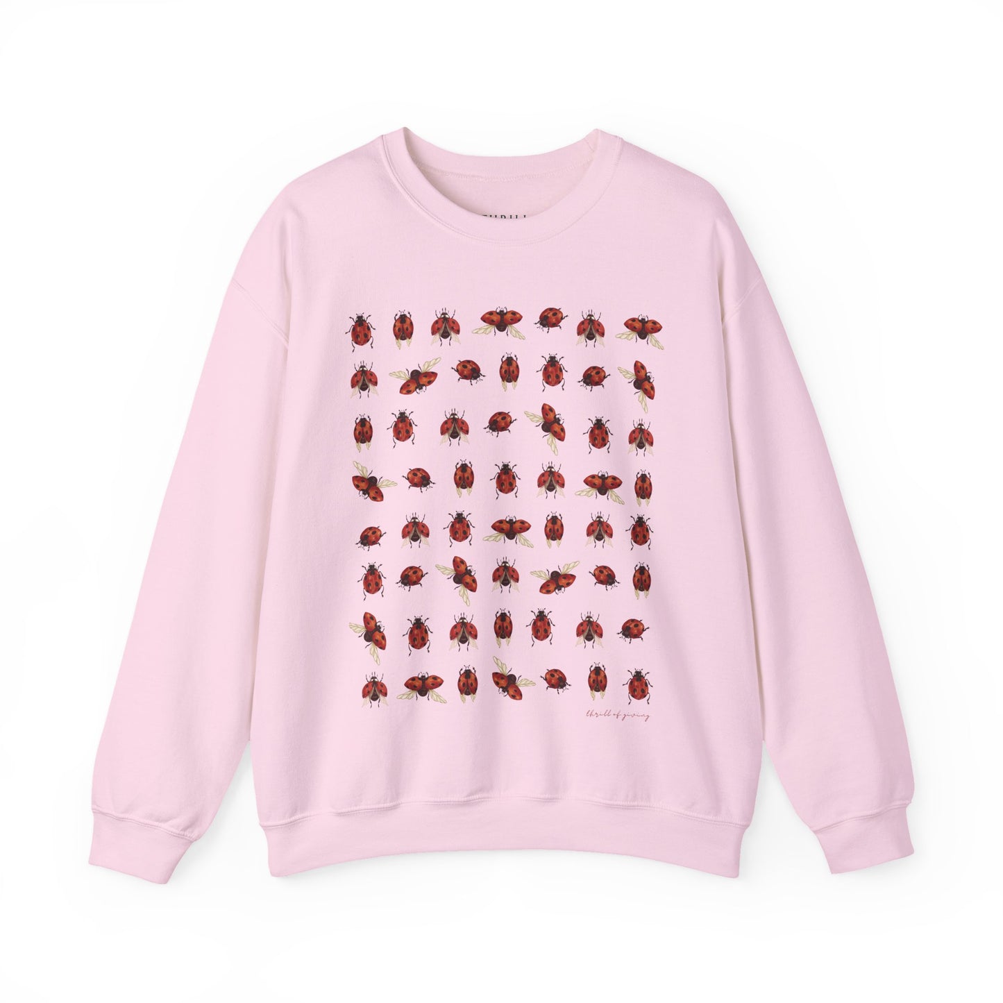 Ladybug Sweatshirt