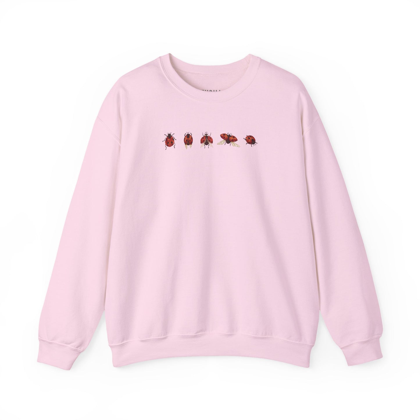 Minimal Ladybug Sweatshirt - Lucky You