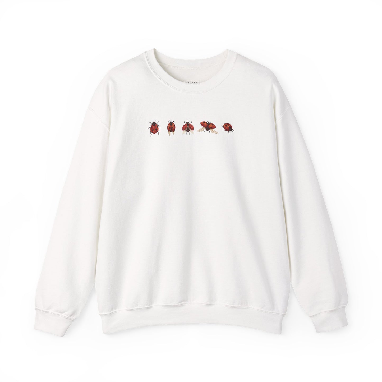 Minimal Ladybug Sweatshirt - Lucky You