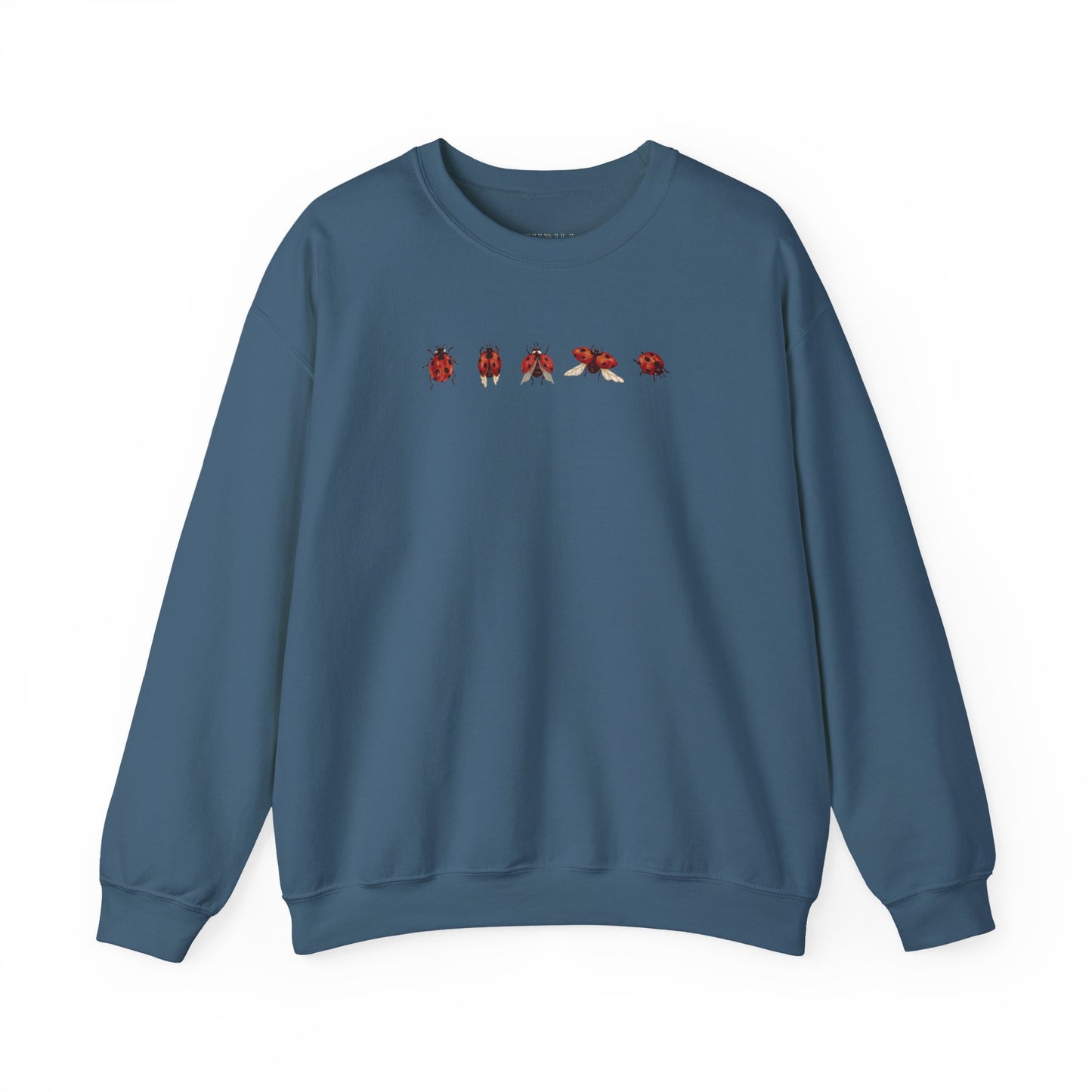 Minimal Ladybug Sweatshirt - Lucky You