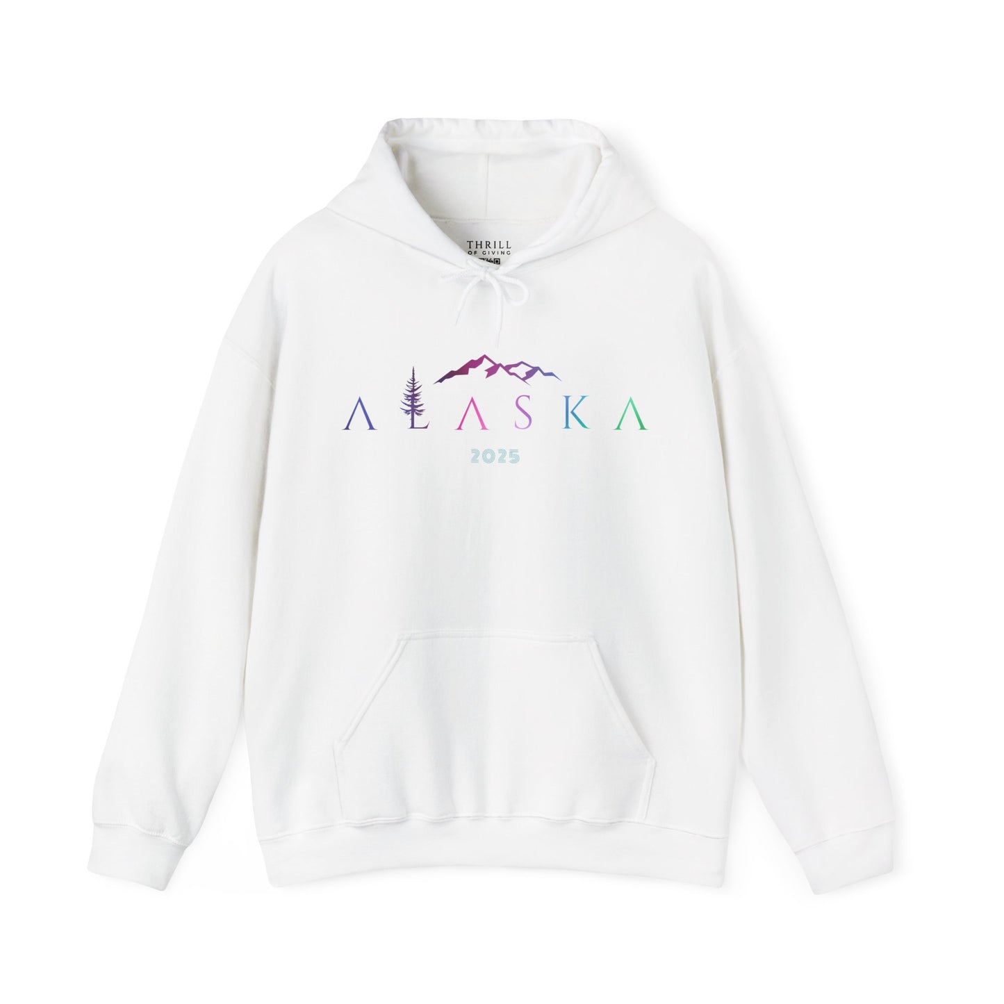 ALASKA Hoodie - Aurora Borealis EDITION