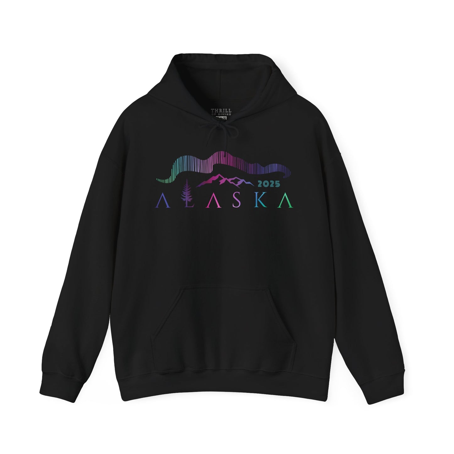 ALASKA Hoodie - Northern Lights