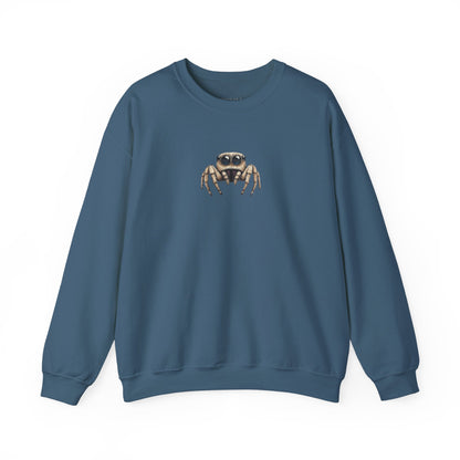 Secret Keeper Jumping Spider Sweatshirt