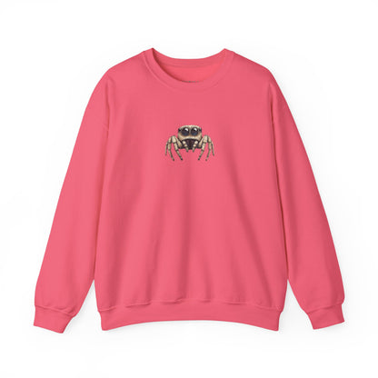 Secret Keeper Jumping Spider Sweatshirt