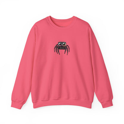 Jumping Spider Sweatshirt