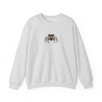 Secret Keeper Jumping Spider Sweatshirt