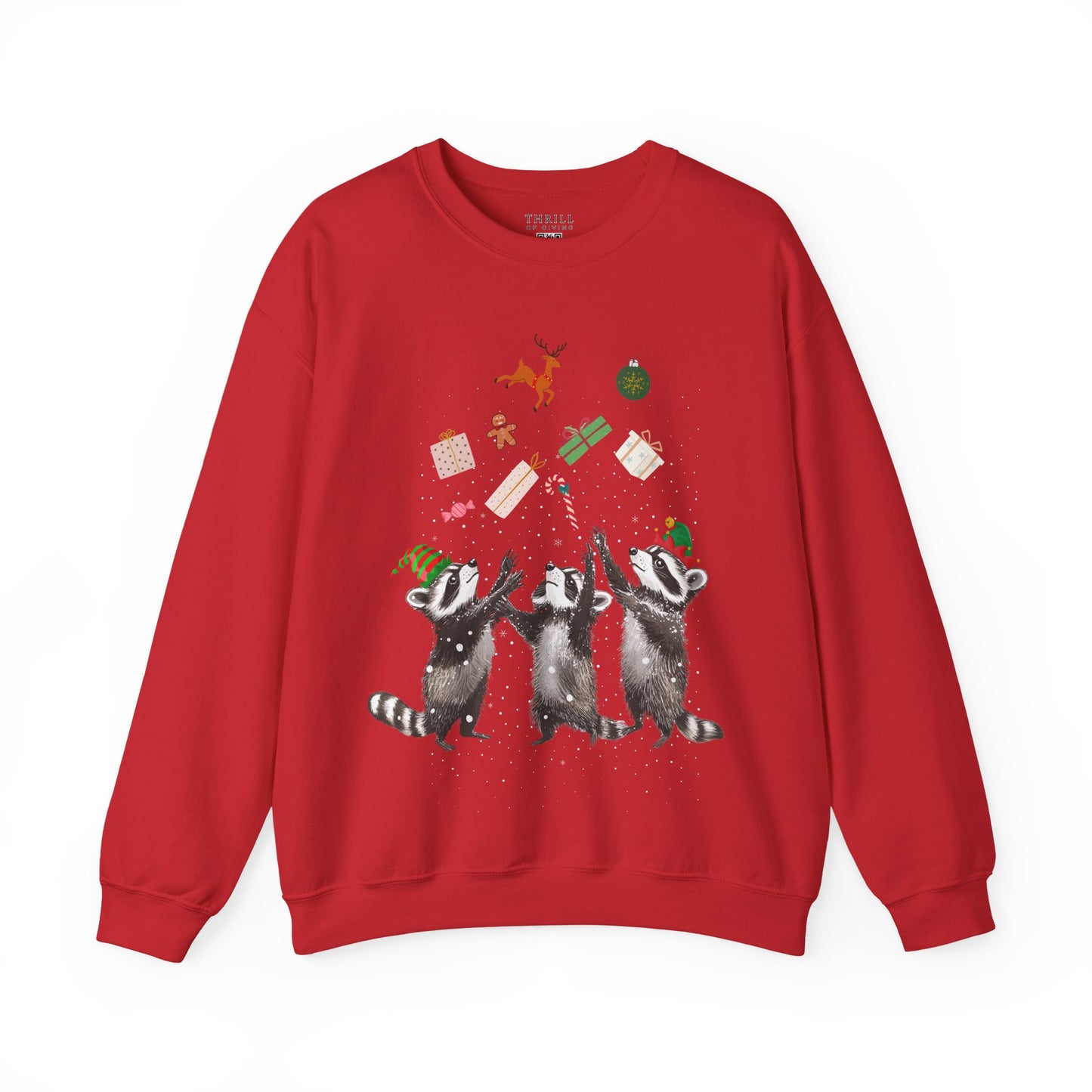 Elf Raccoon Holiday Sweatshirt