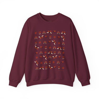Ladybug Sweatshirt