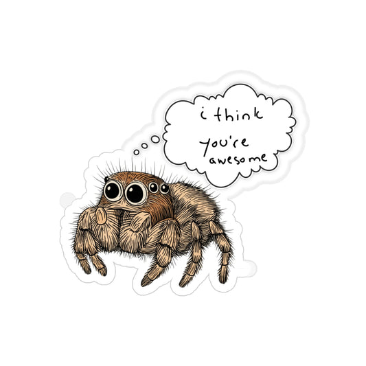 I Think You Are Awesome - Fun Die-Cut Spider Sticker