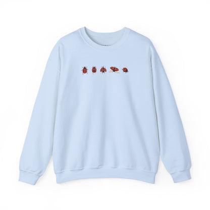 Minimal Ladybug Sweatshirt - Lucky You