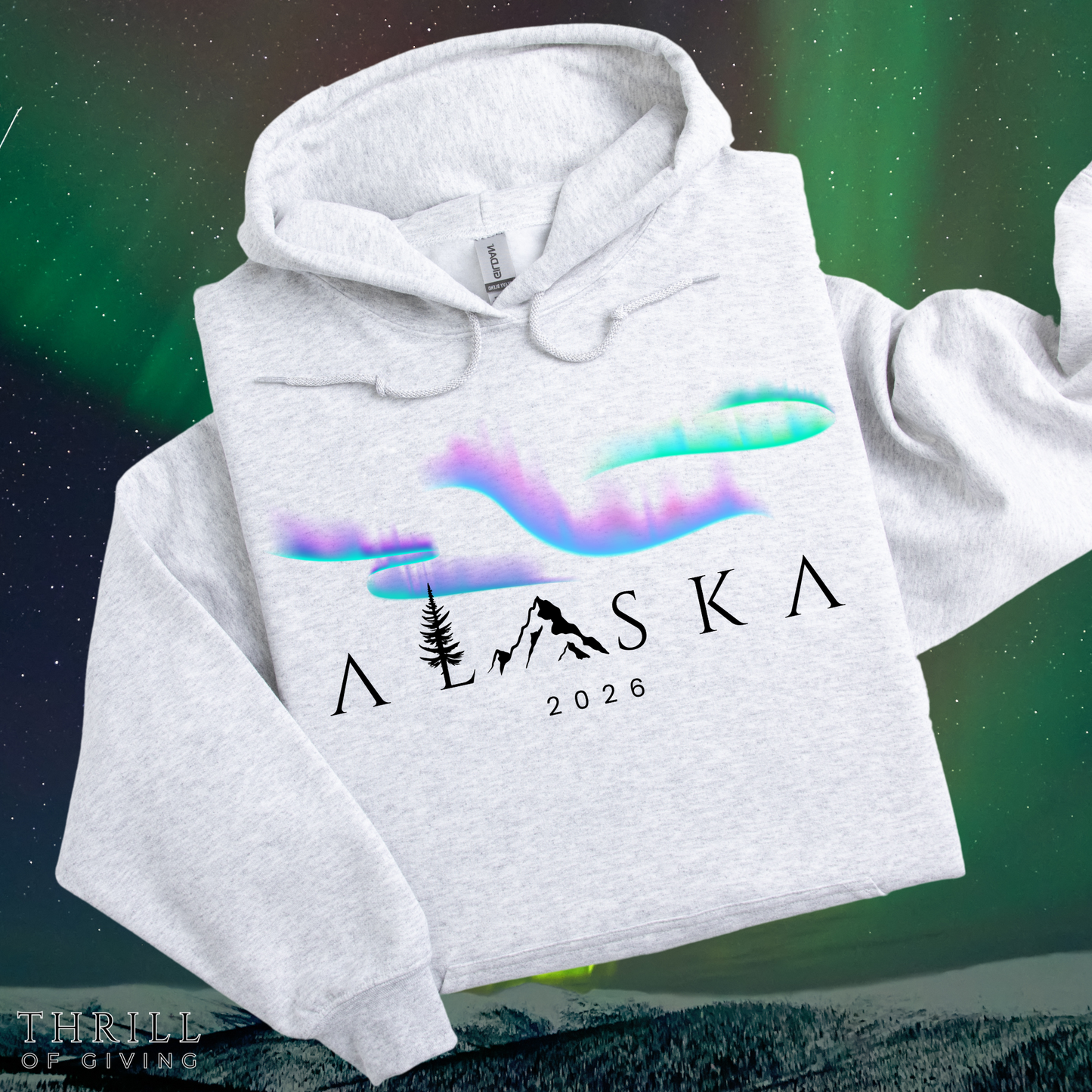 ALASKA Hoodie - Northern Lights Edition