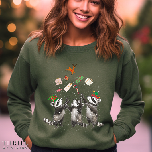 Elf Raccoon Holiday Sweatshirt