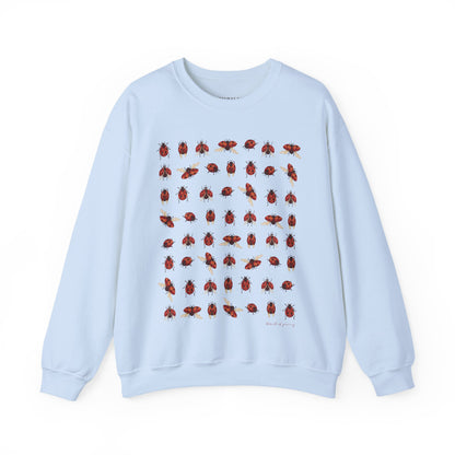 Ladybug Sweatshirt