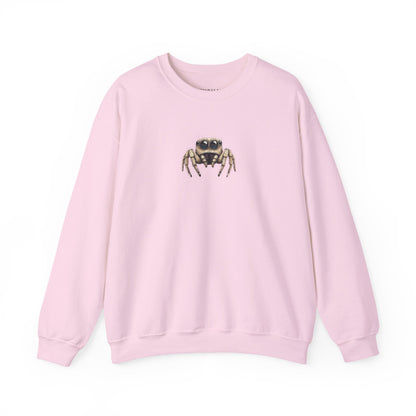 Secret Keeper Jumping Spider Sweatshirt